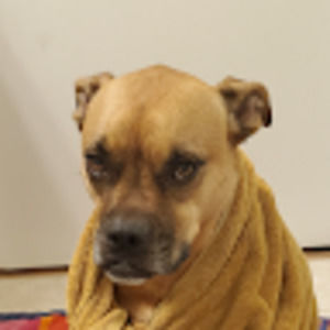 Meet your Posher, Erika